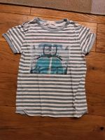 Zara boys T-Shirt 116 Bayern - Sonnefeld Vorschau