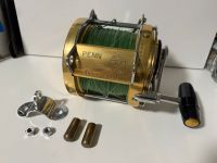 Multirolle Penn International 80 USA Angel Angler Big Game Hai Nordrhein-Westfalen - Krefeld Vorschau