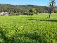 Wunderschönes Grundstück zu verkaufen Rheinland-Pfalz - Hausen (Wied) Vorschau