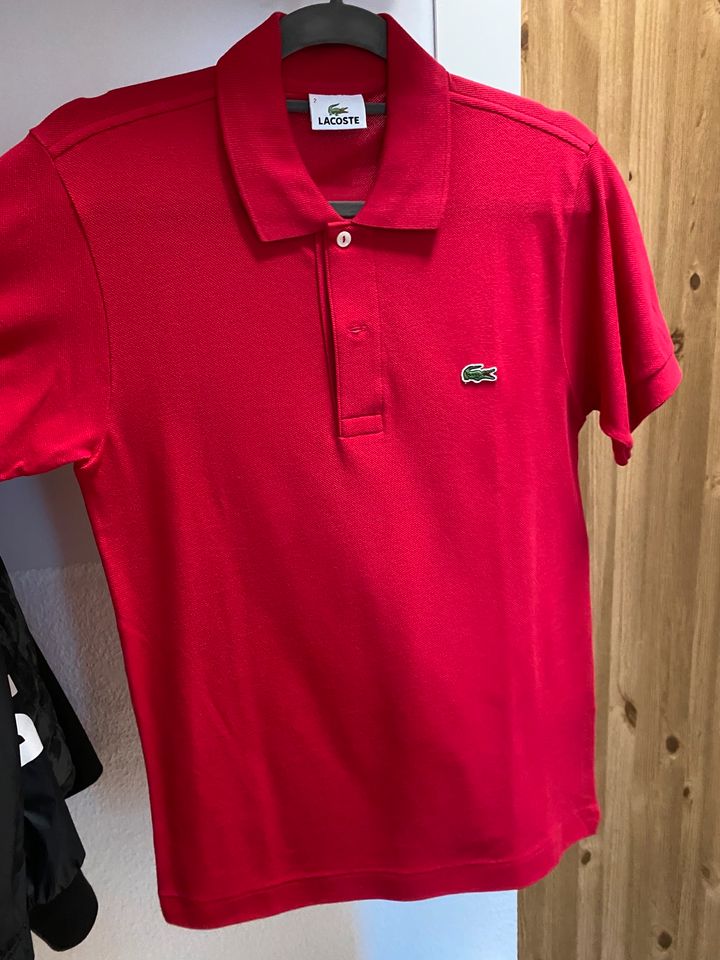 Lacoste Polo Shirt M in Leipzig