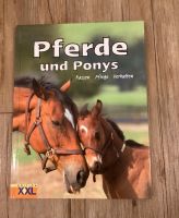 Pferde und Ponys XXL Edition Sachbuch Nordrhein-Westfalen - Ostbevern Vorschau