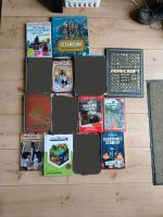 Verschiedene Minecraft Bücher Kiel - Schilksee Vorschau