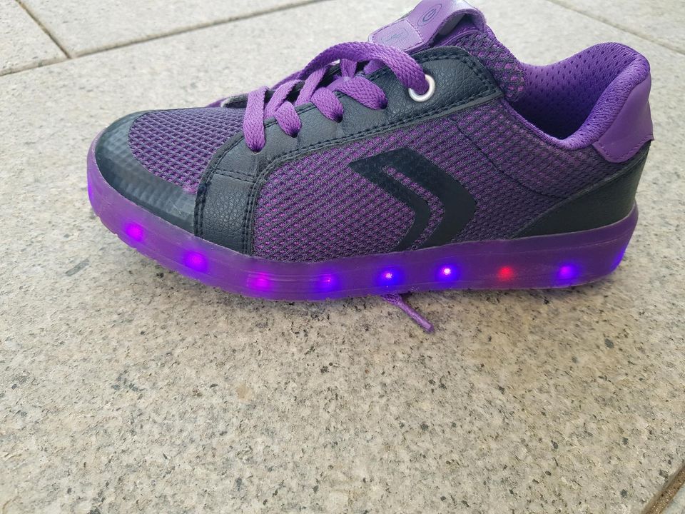 Geox Sneaker Schuhe mit LED Effekten Gr.34 in Manching