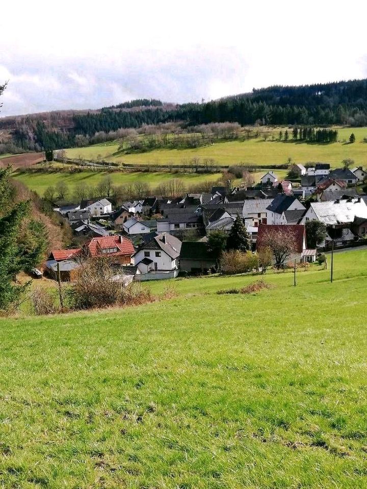 Ferienwohnung Eifel Nürburgring Traumpfade in Adenau