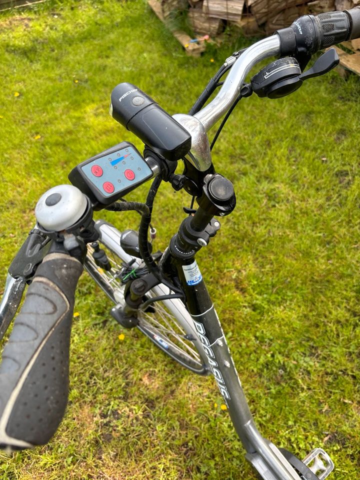 E-Bike Pegasus für Bastler in Eddelak
