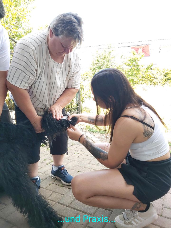 Erste Hilfe Kurs für Hundebesitzer in Breitenworbis