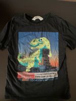 Dinosaurier T Shirt H&m 110 116 Bayern - Wolnzach Vorschau