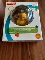 Fisher price "Entchenball" (OVP) Rheinland-Pfalz - Essingen Vorschau