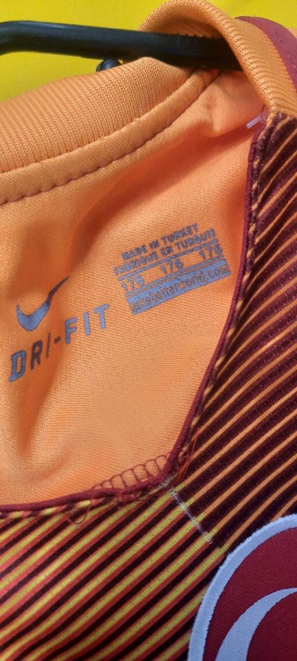 Galatasaray Trikot Nike in Immenhausen