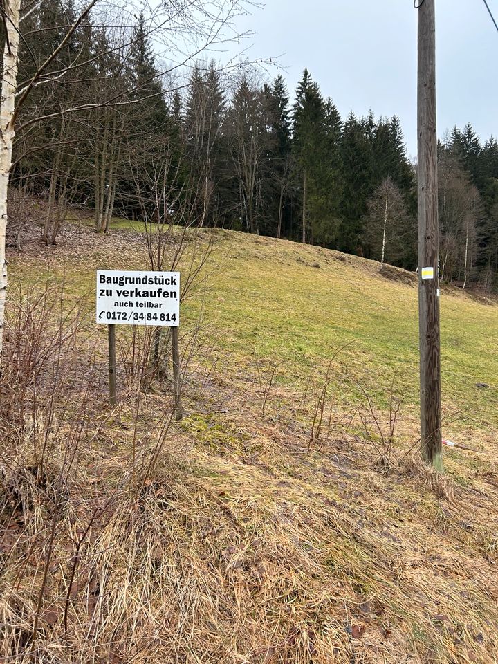 Verkaufe Grundstück, teilweise Baugrundstück neuer Preis in Zwota