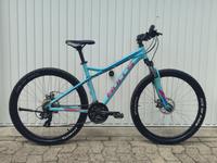 Fahrrad Bulls Nandi Street 27.5 Zoll, Damenfahrrad, MTB Bielefeld - Stieghorst Vorschau
