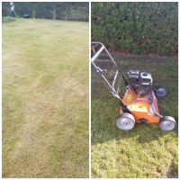 Gartenpflegearbeiten Hecke schneiden Laub Strauch Rasen Gartenbau Sachsen-Anhalt - Querfurt Vorschau