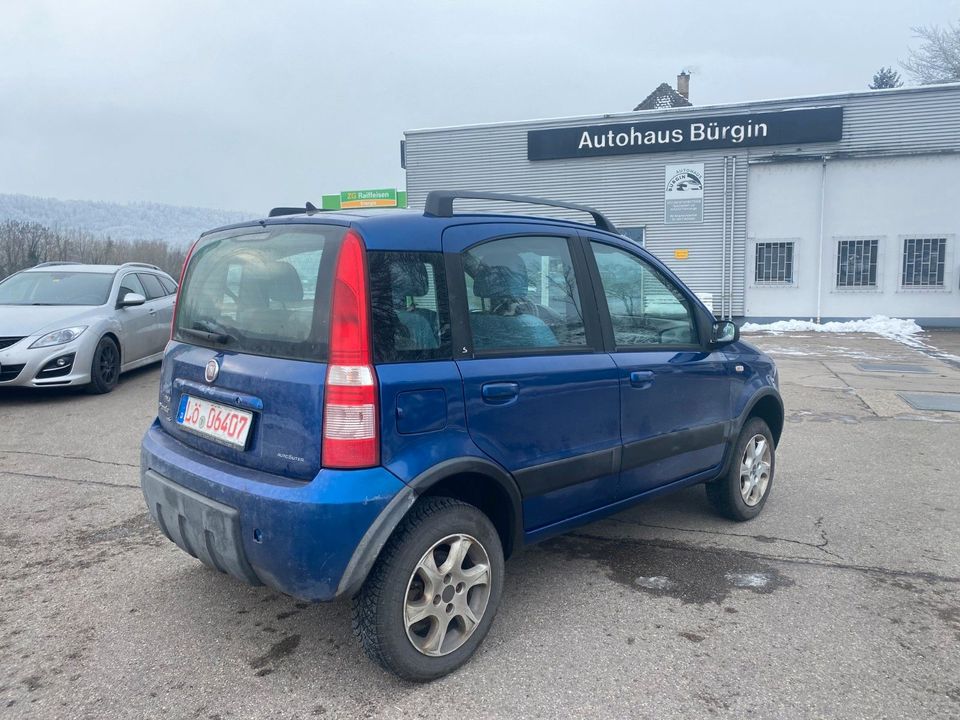 Fiat Panda 1,2 Benzin 4X4 KlIMA ELD in Albbruck