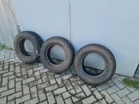 Scheunenfund 3 Reifen DDR Pneumant 185/70R13 Sachsen - Neukieritzsch Vorschau