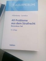 40 Probleme aus dem Strafrecht 13. Auflage Altona - Hamburg Bahrenfeld Vorschau