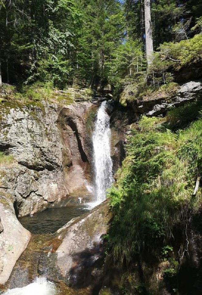 Bayerischer Wald auf 800 m Höhe -Willkommen in Schöfweg