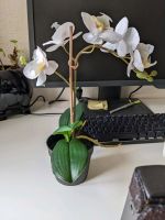 Künstliche Orchidee Kunstpflanze Plastikblume klein München - Moosach Vorschau