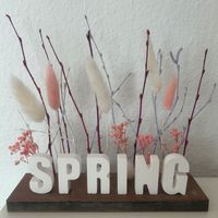 Deko Frühling/Spring Buchstaben Raysin Geschenk Baden-Württemberg - Langenau Vorschau