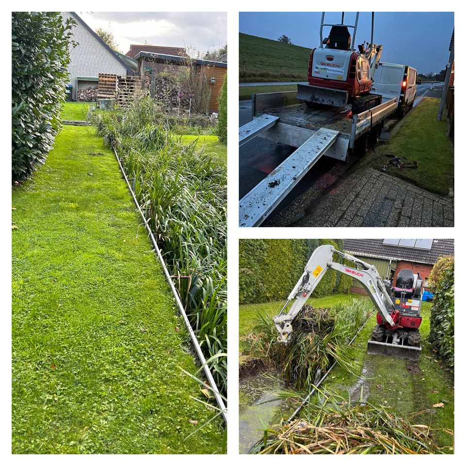 Gartenarbeiten aller Art in Berne