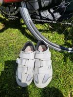 Radschuhe Shimano Gr. 38 Baden-Württemberg - Dürnau Vorschau