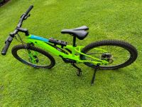 Giant Fathom JR E-Bike 26 Zoll MTB für Kinder Niedersachsen - Winsen (Aller) Vorschau