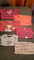 6x Baby Pullover Shirts Mädchen Gr. 86 sehr gut erhalten, u.a. v. Thüringen - Bad Lobenstein Vorschau