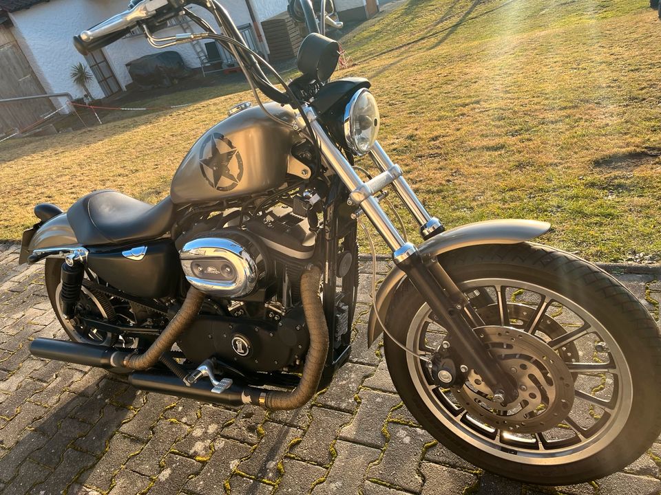 Harley Davidson Sportster XL883R in Cham