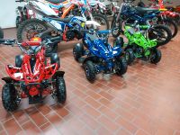 pocketquad  49cc mini Kinder Quad Dragon Sport 4" Rheinland-Pfalz - Bad Breisig  Vorschau