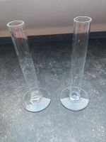 2 Glas Vasen schmal Rheinland-Pfalz - Römerberg Vorschau