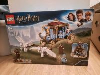 Lego Harry Potter Beauxbatons Kutsche Baden-Württemberg - Karlsruhe Vorschau