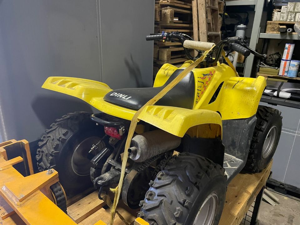 Quad Dinli 50ccm Kinderquad in Gotha