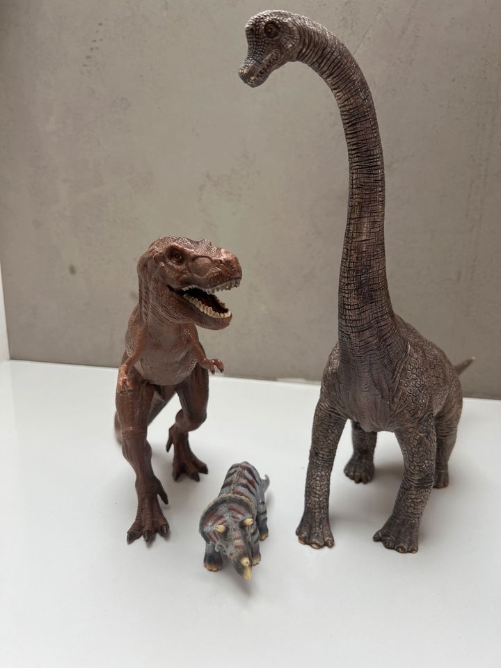 Schleich Dinosaurier Set T Rex Brachiosaurus in Hohenroda
