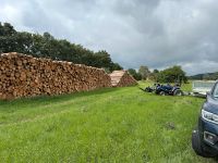 Brennholz aus heimischen Wäldern auch Ofenfertig Thüringen - Gräfenroda Vorschau