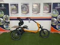 Van Raam Easy Rider 3 Grösse M Therapeutisches Dreirad NEU Nordrhein-Westfalen - Gronau (Westfalen) Vorschau