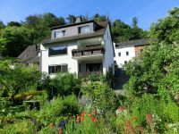 Mosel-Ferienwohnung in Burgen /Untermosel frei 13. Juli -19. Juli Rheinland-Pfalz - Burgen Vorschau