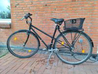 Fahrrad Damenfahrrad Rad Damenrad schwarz Kiel - Hassee-Vieburg Vorschau