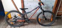 Cooles Kinderfahrrad scott 24zoll 7gang Neuhausen-Nymphenburg - Neuhausen Vorschau