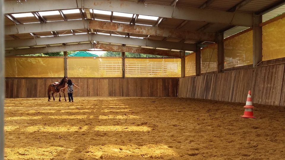 Pferdebox Vollpension in Iserlohn