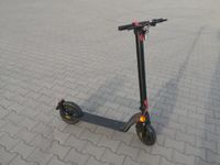 E-Scooter E-Roller Technostar TES300 E-Rica NP 599€ bis 120kg Rheinland-Pfalz - Worms Vorschau