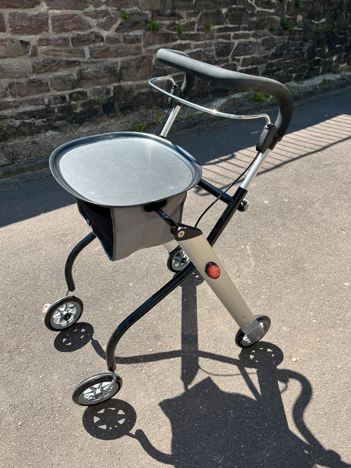 Gehwagen / Wohnungsrollator in Höxter