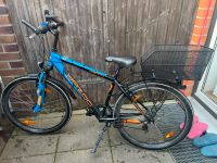 YAZOO Devil MTB Jugendfahrrad mit Korb 26 Zoll Wandsbek - Hamburg Rahlstedt Vorschau