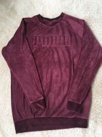 Puma Damen Pulli Gr.S top Zustand Duisburg - Duisburg-Mitte Vorschau