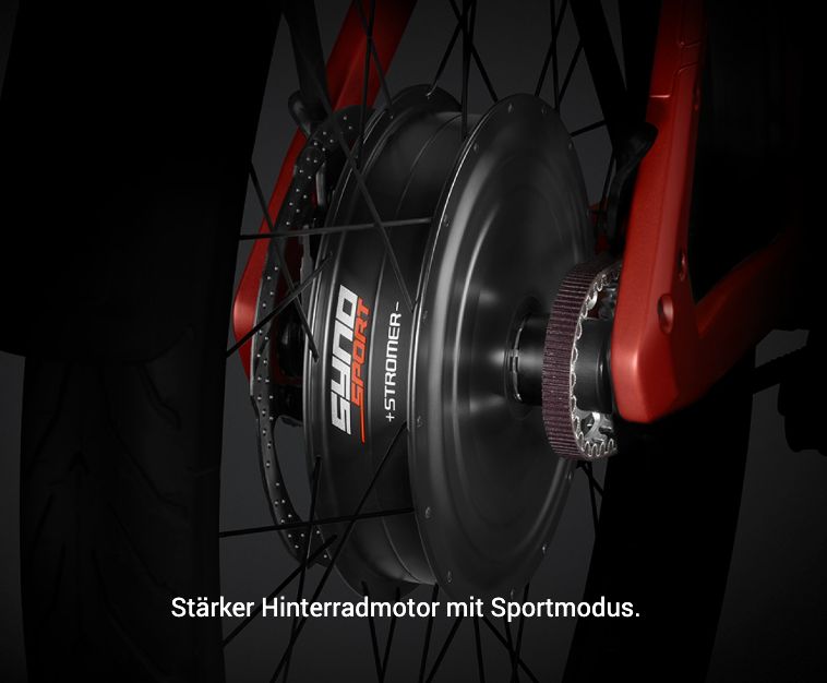 S-Pedelec Stromer ST5 Pinion ABS 983 Wh in Größe XL und L in Meerbusch