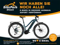 Haibike Elektro-Fahrrad Trekking 5 Bosch Performance 500Wh 9-Gang Niedersachsen - Dissen am Teutoburger Wald Vorschau