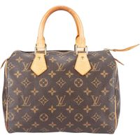 Louis Vuitton Monogram Speedy 25 Handtasche Sachsen-Anhalt - Halle Vorschau