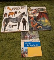 Pferde Bücher zu verkaufen Nordrhein-Westfalen - Kierspe Vorschau