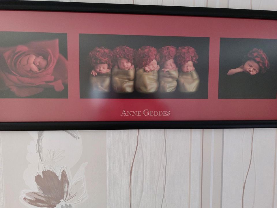 Bild von Anne Geddes 95 x 35 cm in Elbingerode (Harz)