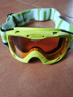 Skibrille Alpina Thüringen - Harth-Pöllnitz Vorschau