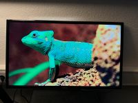 Samsung led tv mit Samsung soundbar beide Zusammen top Zustand Duisburg - Duisburg-Mitte Vorschau