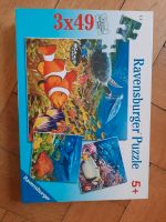 Puzzle 3x49 Teile Fische Nr. 09310 5+ OVP vollständig Berlin - Neukölln Vorschau